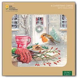Robin and mince pie