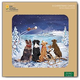 Dogs watching Santa