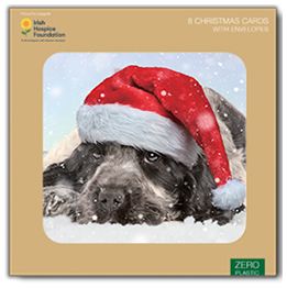 Puppy in Santa hat