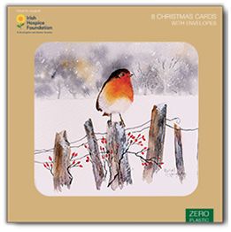 Robin in the snow
