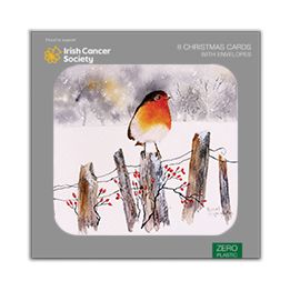 Winter robin