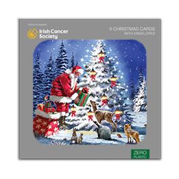 Santa and friends