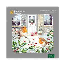 Robins by the door
