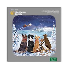 Dogs watching Santa