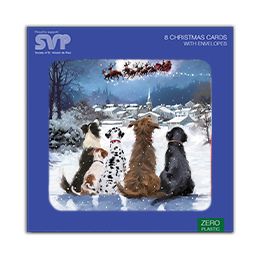 Dogs watching Santa