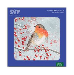 Winter robin