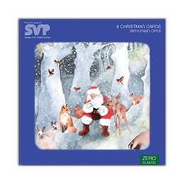 Santa and friends