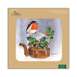 Robin and holly
