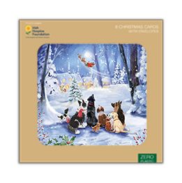 Dogs watching Santa