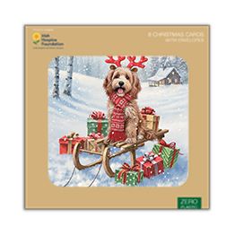Puppy on sleigh