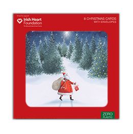 Santa's journey