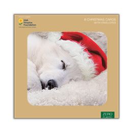 Sleeping puppy