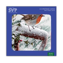 Photographic robin