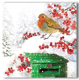 Robin on Postbox