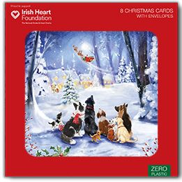 Dogs watching Santa