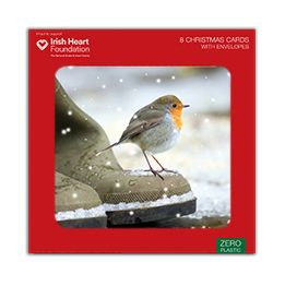 Robin in the snow