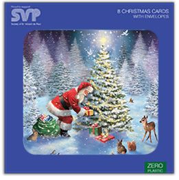 Santa's woodland friends