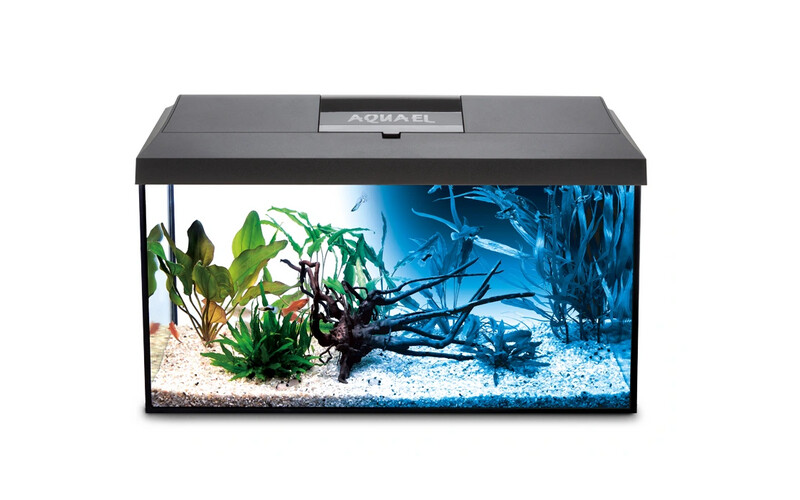 #SALE# Aquarium Starter Set 72l mit Filter Heizstab etc. XXXXL Starter Set #SALE# Aquarium Starter Set 72l mit Filter Heizstab etc. XXXXL Starter Set