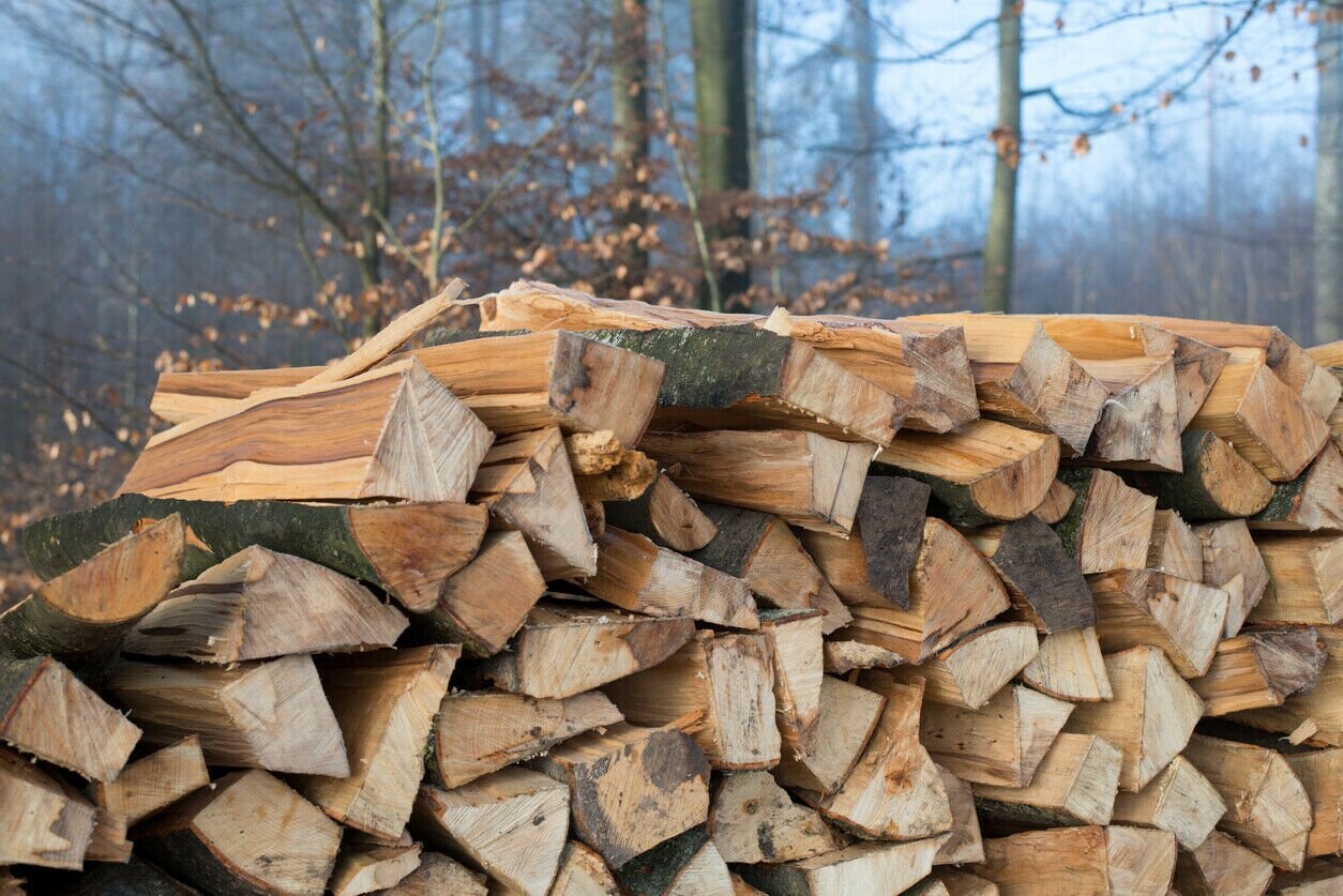 Brennholz 33 cm Stücken Feuerholz Kaminholz Reine Buche 30 Kg ofenfertig gespalten