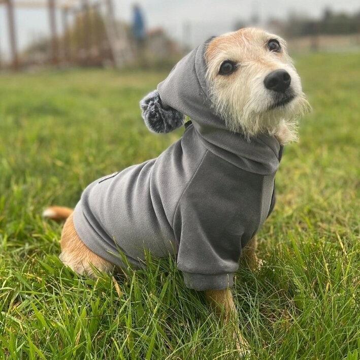 Handmade SWEATSHIRT Hundejacke Hunde Hoodie WELUR Kleidung FARBWAHL Handmade SWEATSHIRT Hundejacke Hunde Hoodie WELUR Kleidung FARBWAHL