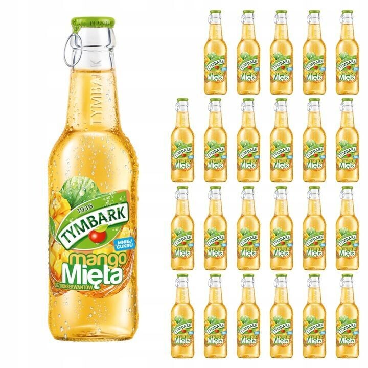 Tymbark Trinkflasche Mango-Minze 24 x 250 ml