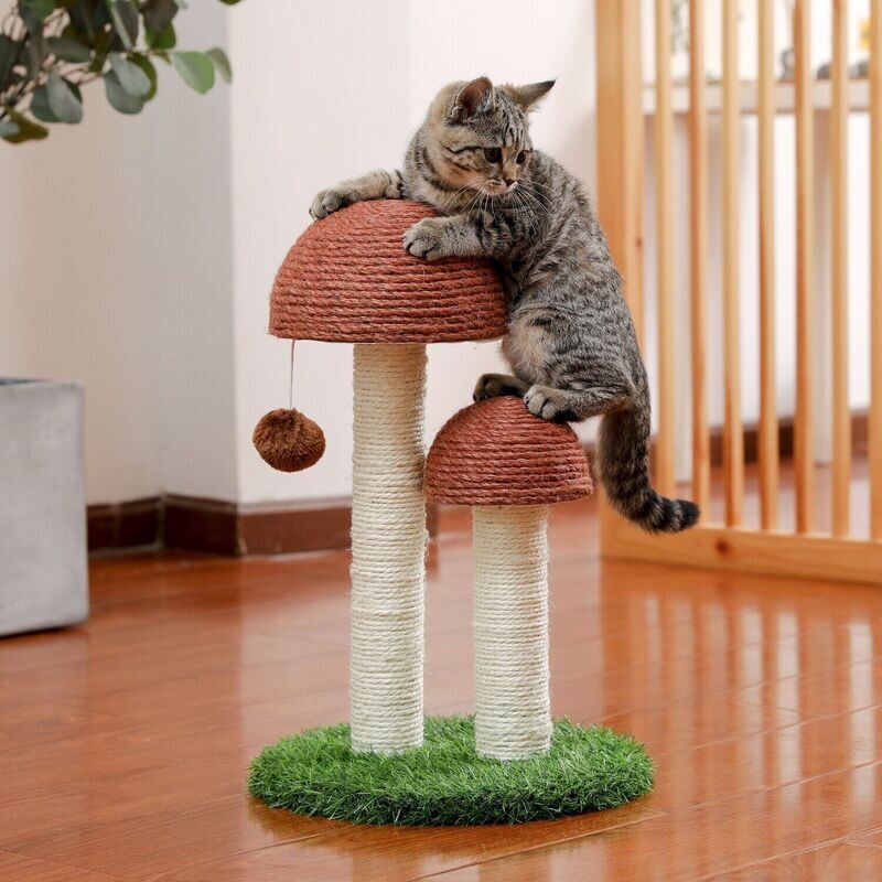 Premium Pilz Kratzbaum Katzen Sisal Katzenkratzbaum Kratzsäule Katzenspielzeug Katze Premium Pilz Kratzbaum Katzen Sisal Katzenkratzbaum Kratzsäule Katzenspielzeug Katze