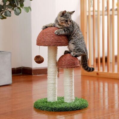 Premium Pilz Kratzbaum Katzen Sisal Katzenkratzbaum Kratzsäule Katzenspielzeug Katze