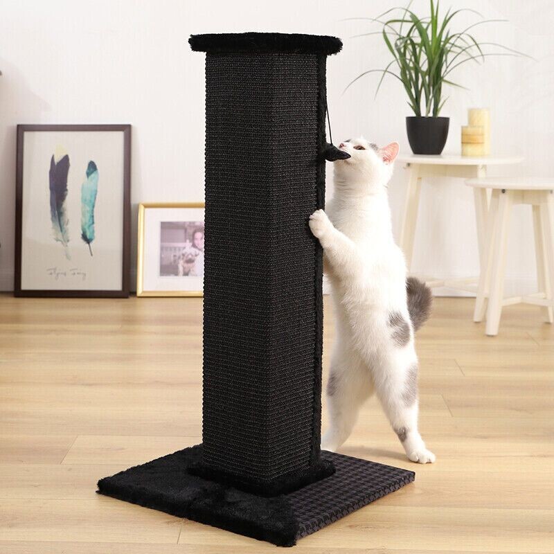 Premium Kratzbaum Katzen Sisal Katzenkratzbaum Kratzsäule Katzenspielzeug Katze