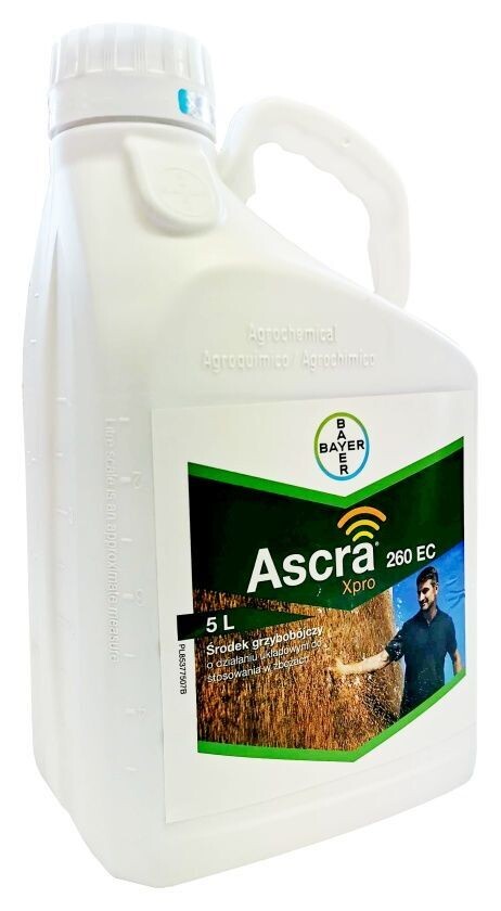 ASCRA XPRO 260 EC 5L Bayer