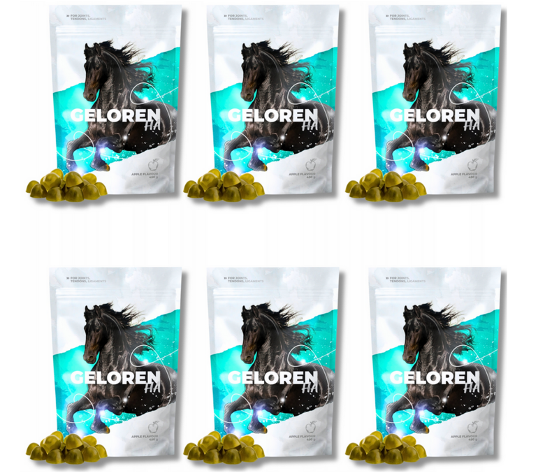 Geloren Horse HA Apfel für Pferde Kollagengelees 6 x (60 Stk., 450 g) Geloren Horse HA Apfel für Pferde Kollagengelees 6 x (60 Stk., 450 g)