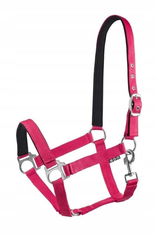 Economic Gefüttertes Pferdehalfter Reitsport Economic Gefüttertes Pferdehalfter Reitsport