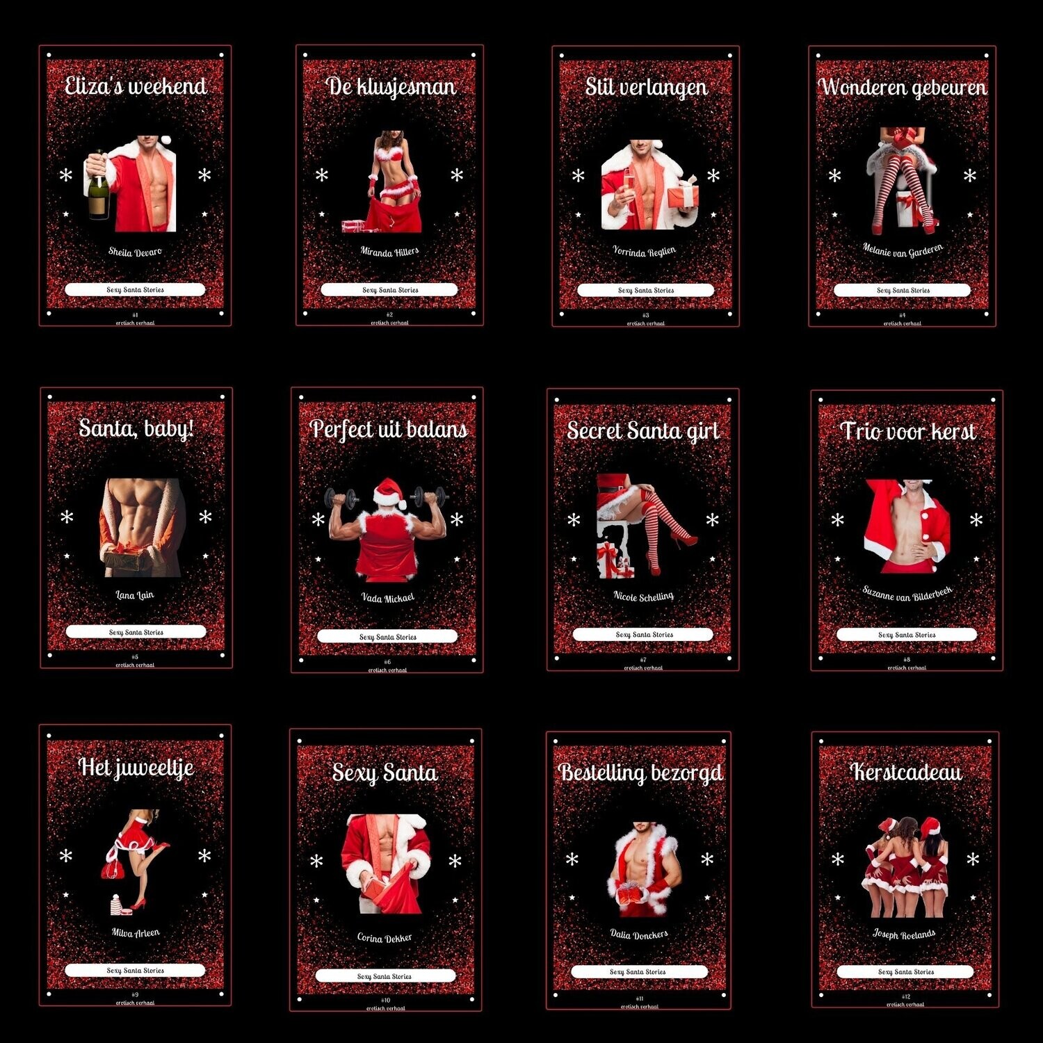 Sexy Santa Stories #1 t/m #12