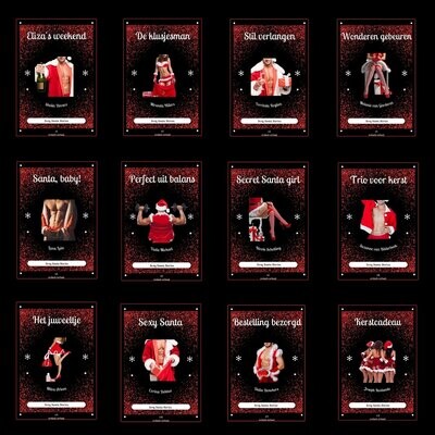 Sexy Santa Stories #1 t/m #12