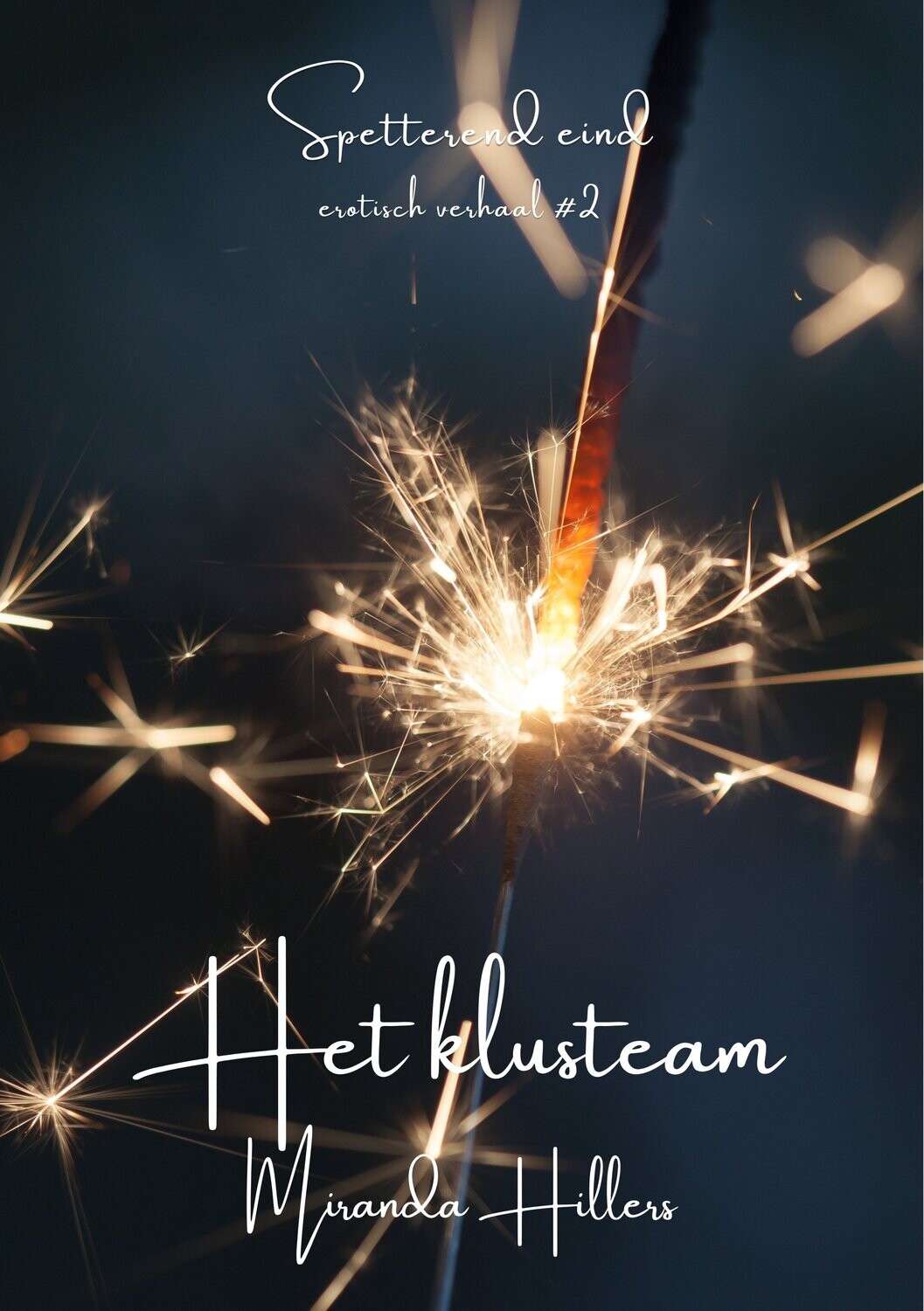 Spetterend eind #2
Het klusteam - Miranda Hillers