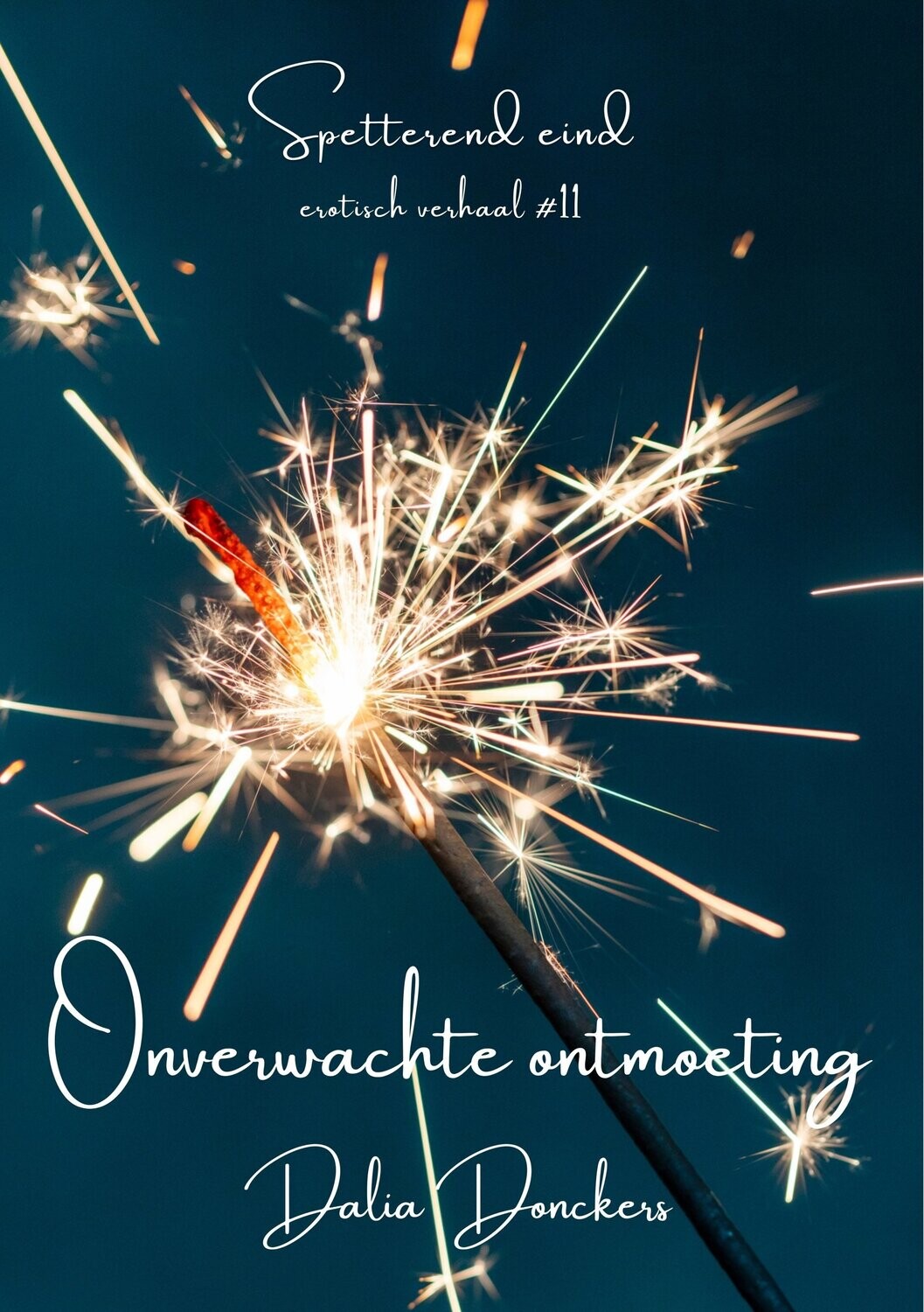 Spetterend eind #11
Onverwachte ontmoeting - Dalia Donckers