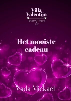 Het mooiste cadeau - Villa Valentijn #5