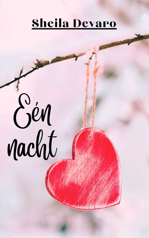 Een nacht
