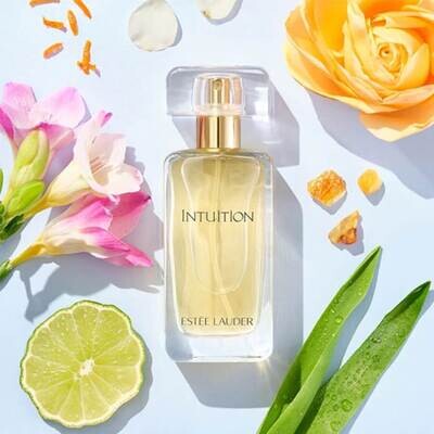 Estee Lauder Intuition