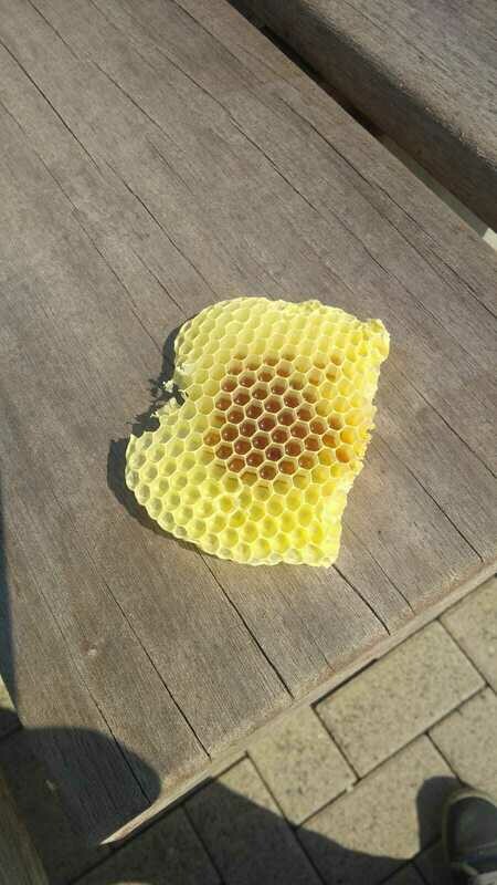 200g Bienenwachs aus Wildbau 200g Bienenwachs aus Wildbau