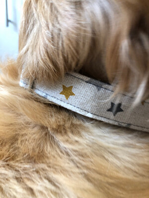 Mustard And Grey Star Collar