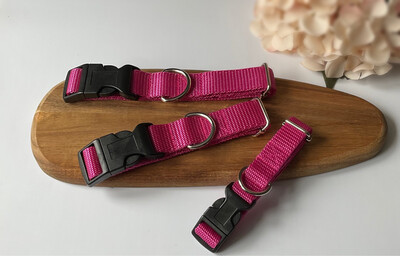 Cerise Pink Webbing Dog Collar