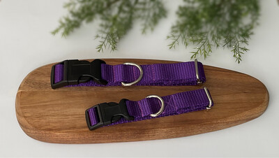 Purple Webbing Dog Collar