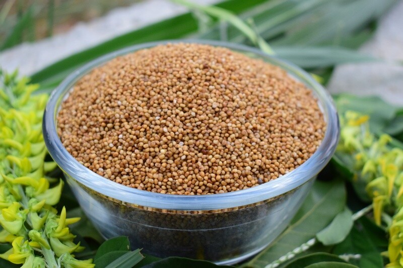 Kodo Millet (Haarka)