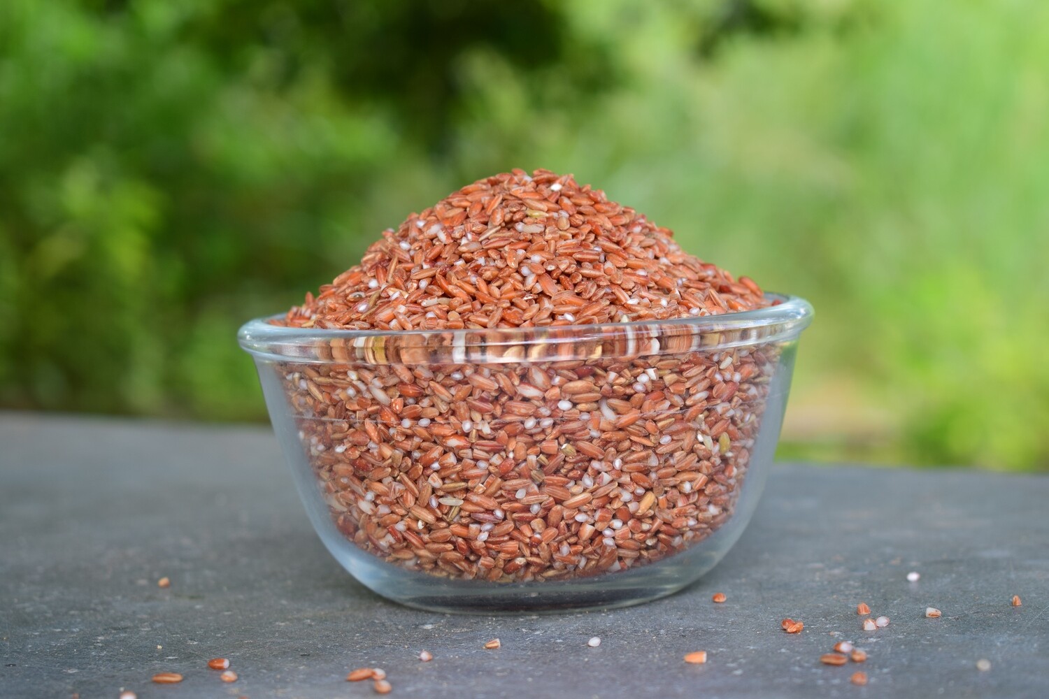 Red Rice / ಕೆಂಪು ಅಕ್ಕಿ (Sorata variety)