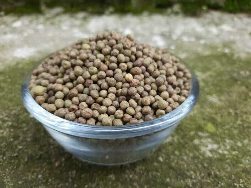 Black Peas (Vatani)