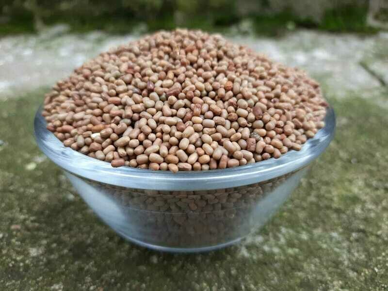 Moth beans (ಮಡಕಿ ಕಾಳು)