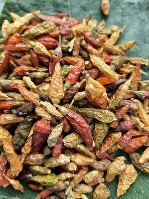 Bird's Eye Chilli (ಸೂಜಿ ಮೆಣಸು)