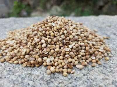 Coriander Seeds (ಕೊತ್ತಂಬರಿ ಬೀಜ)