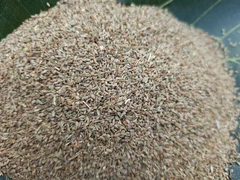 Ajwain / Carom Seeds(ಅಜ್ವಾನ)