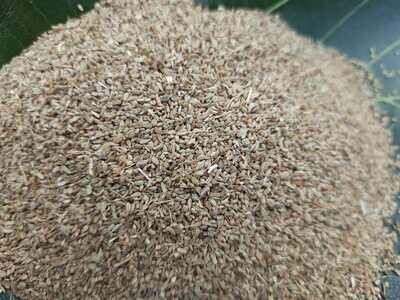 Ajwain / Carom Seeds(ಅಜ್ವಾನ)